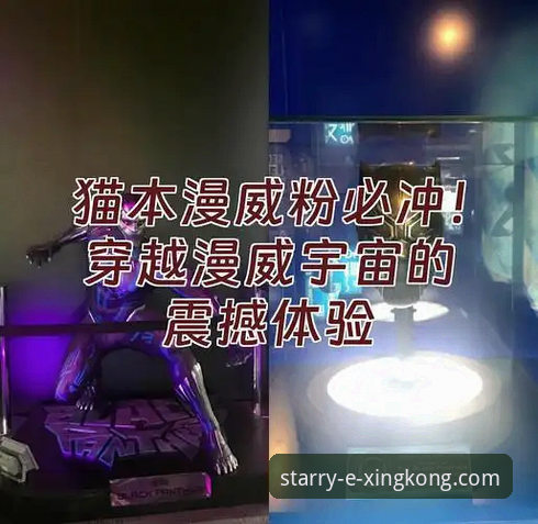 星空娱乐平台APP安卓版安全吗？一份来自新手的深度体验与安全评测报告