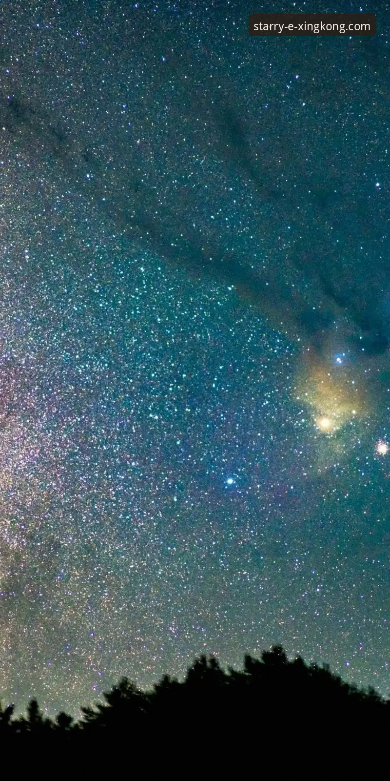 星空APP官方下载的5个必备指南：安全获取2025新版v2.2.1的实战方法